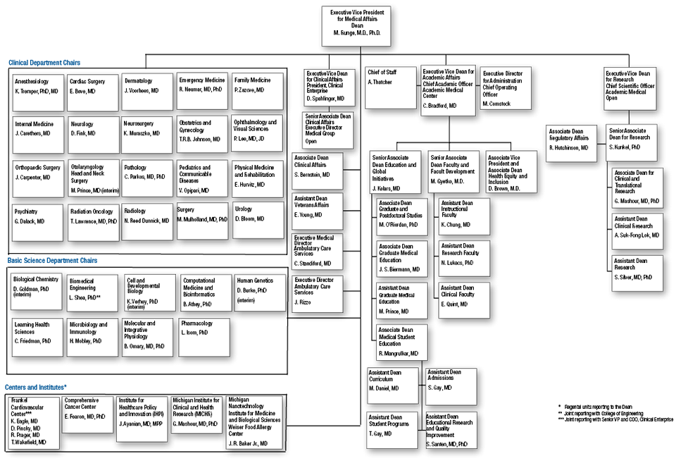 Organizational Chart For School Administration