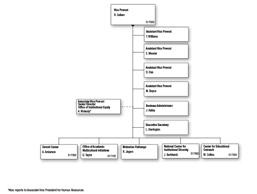 Vice Provost for Equity, Inclusion, and Academic Affairs SPG