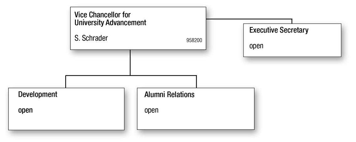 Org chart for the Vice Chancellor for University Advancement