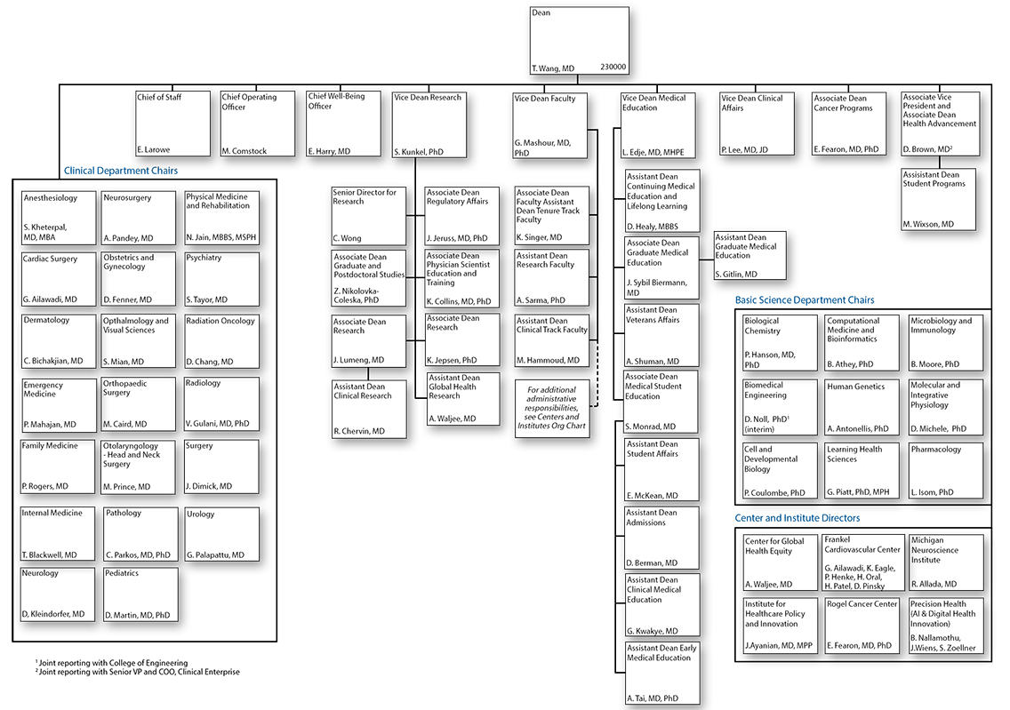 Organizational chart for Medical School Administration
