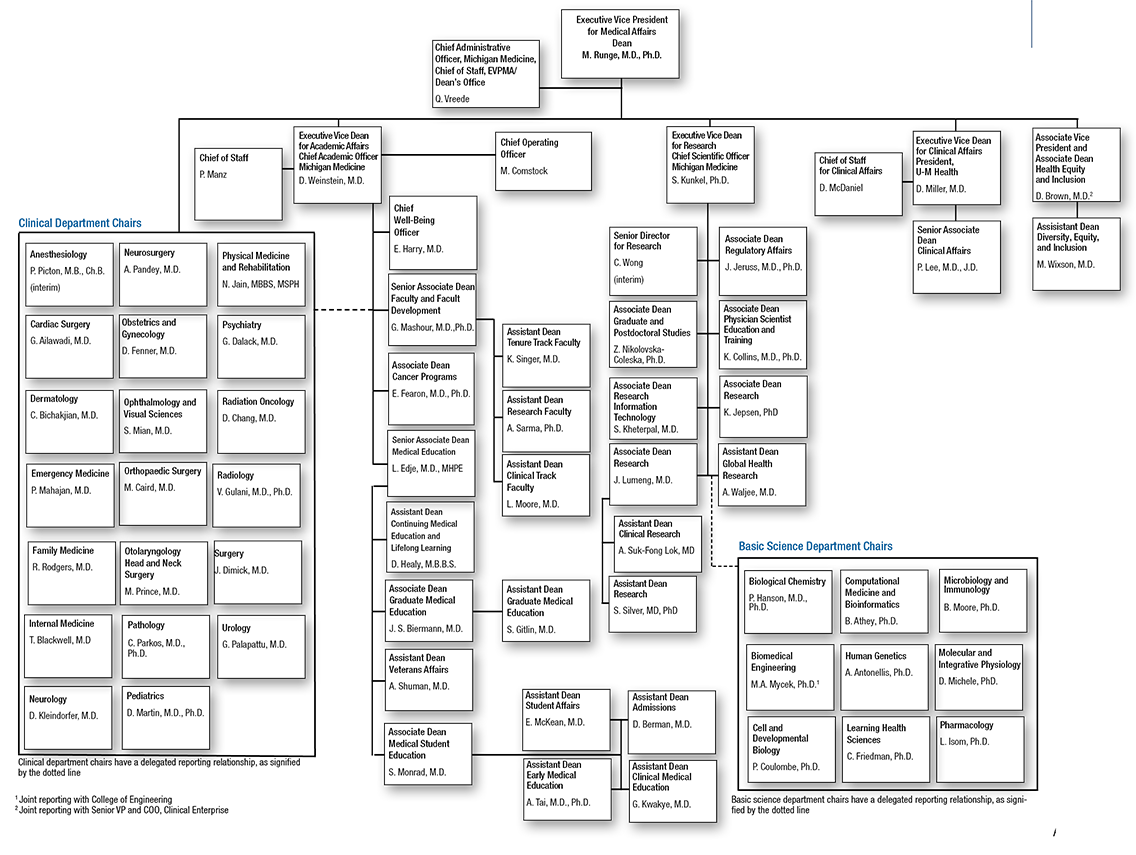 Medical School Administration Organization Chart