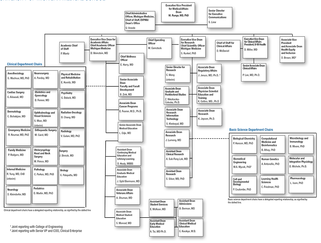 Medical School Administration Org Chart