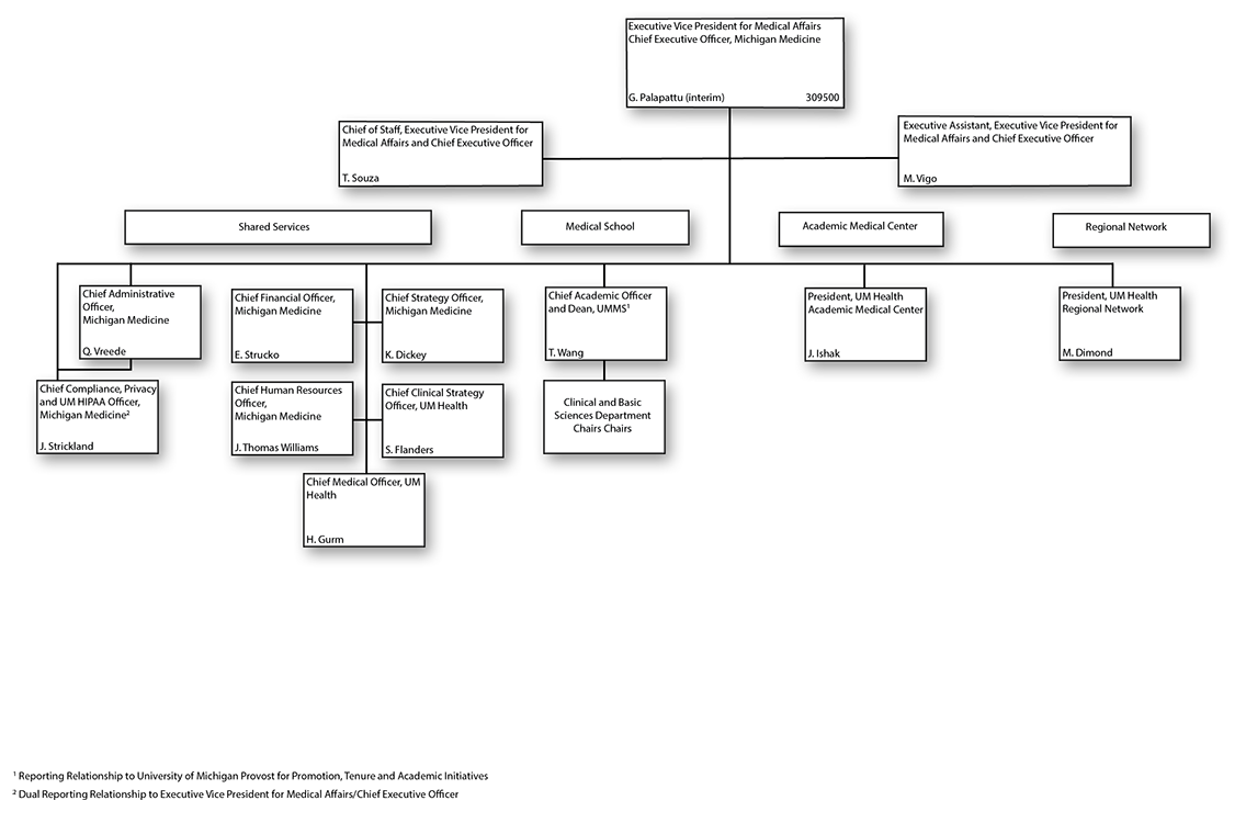Office of the Executive Vice President for Medical Affairs Organizational Chart