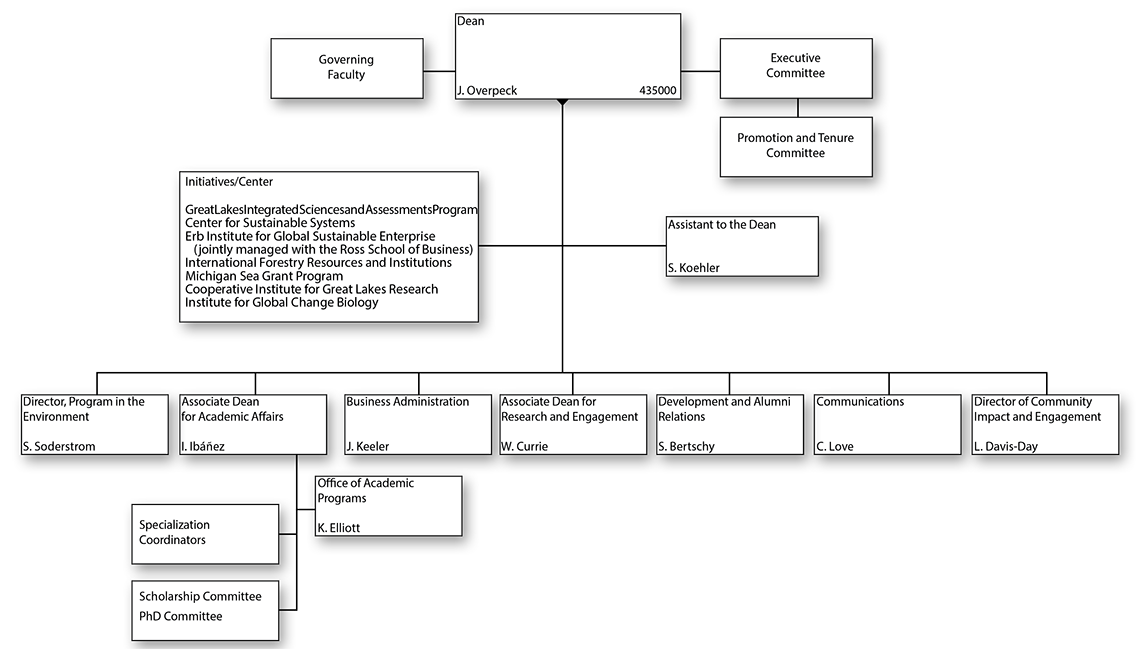 School for Environment and Sustainability Organizational Chart