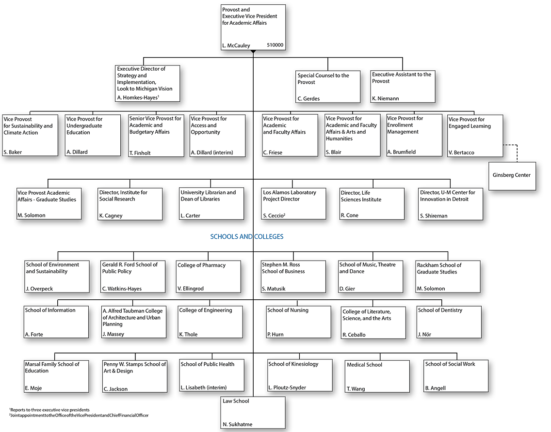 Organizational chart for Provost and Executive Vice President for Academic Affairs