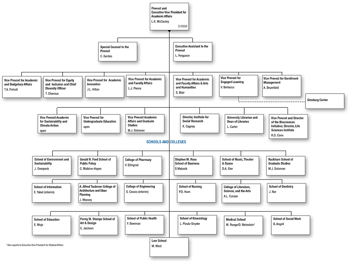 ORG Chart for Provost and Executive Vice President for Academic Affairs