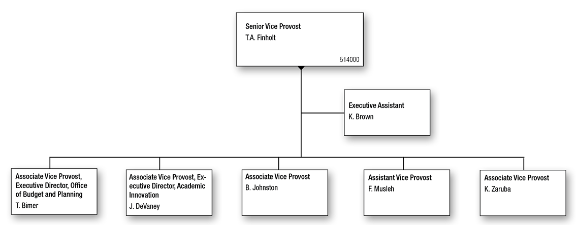 Senior Vice Provost for Academic and Budgetary Affairs Organizational Chart