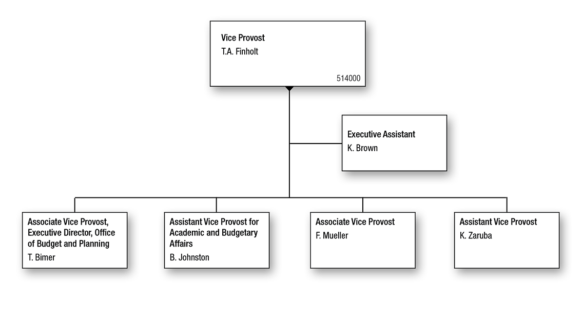 ORG Chart for Vice Provost for Academic and Budgetary Affairs