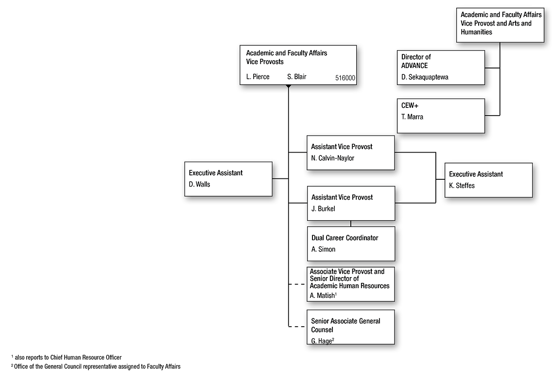 Org chart for the Vice Provost for Academic and Faculty Affairs