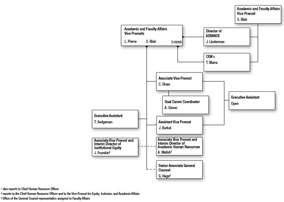 Vice Provost for Academic and Faculty Affairs Standard Practice