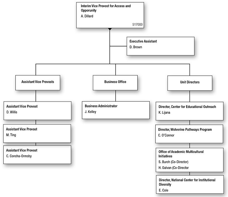 Vice Provost for Access and Opportunity Organizational Chart