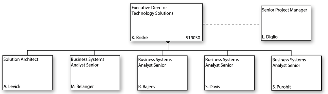 VPEM Technology and Systems Organizational Chart