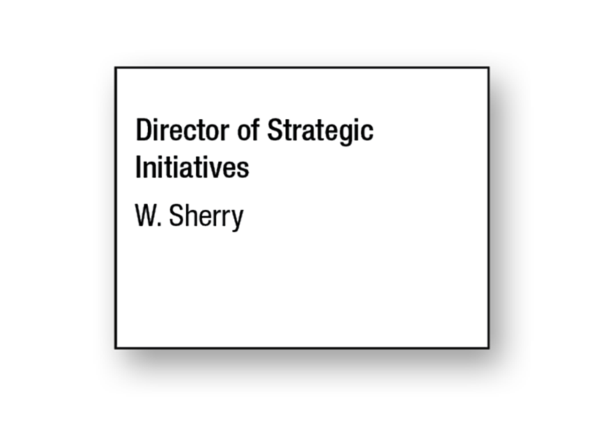 Director of Strategic Initiatives Organization Chart