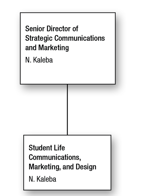 Senior Director of Strategic Communications and Marketing Organization Chart