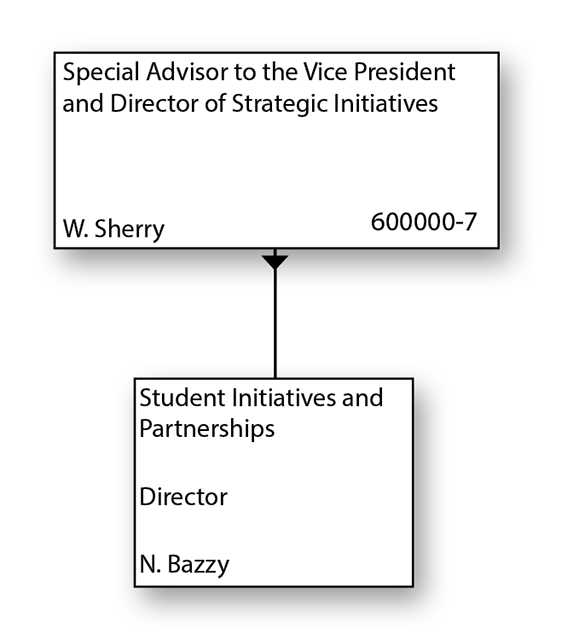 Organizational Chart for Director of Strategic Initiatives