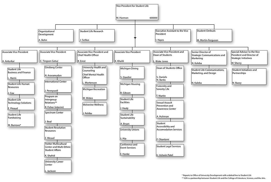 Organizational chart for Vice President for Student Life