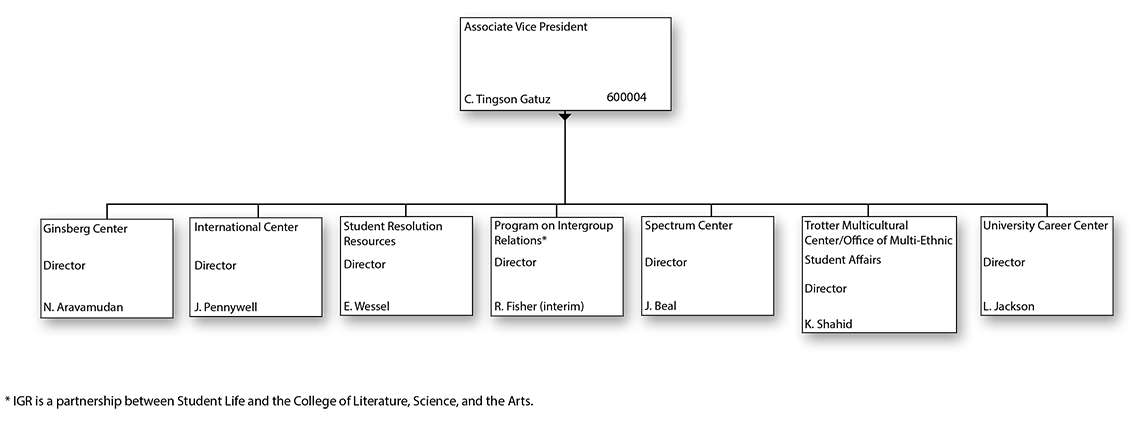 Organizational chart for Associate Vice President for Student Life Leadership Team (Student Learning)