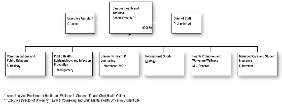 Vice President for Student Life – Health and Wellness Organization Chart