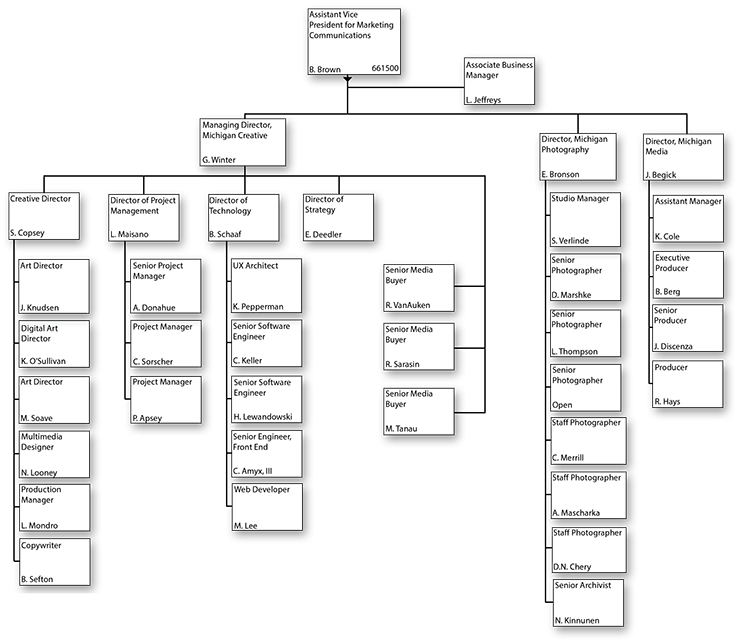 Marketing Enterprise Organizational Chart