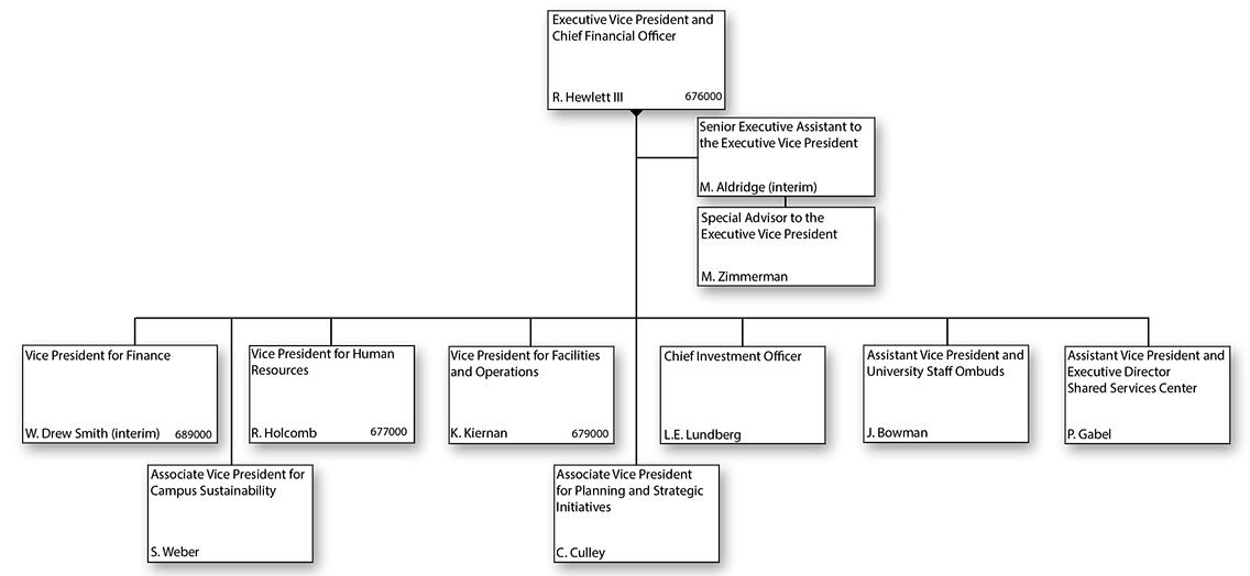 Executive Vice President and Chief Financial Officer Organizational Chart