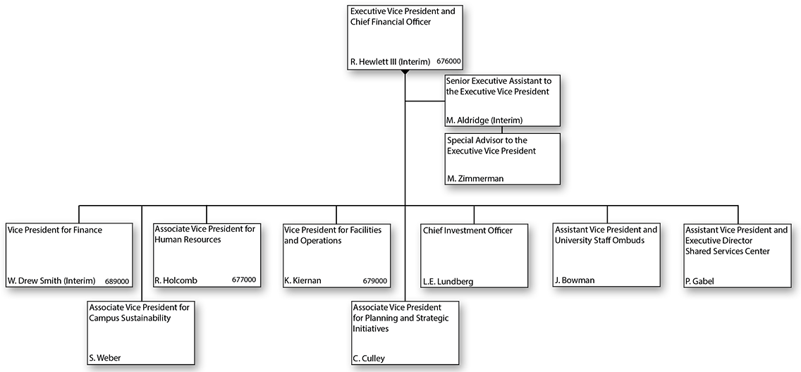 Executive Vice President and Chief Financial Officer Organizational Chart