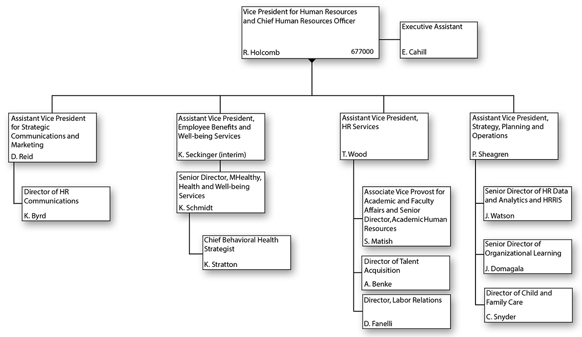 Vice President for Human Resources and Chief Human Resources Officer Organizational Chart