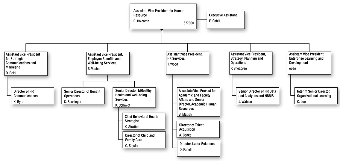 University Human Resources Organization Chart