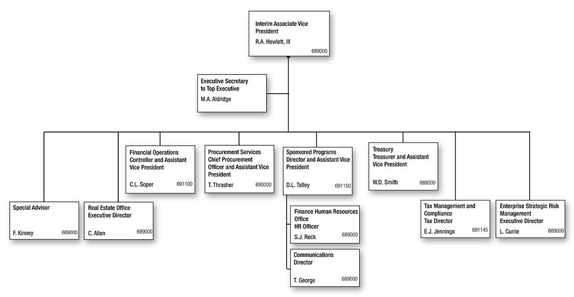 Associate Vice President for Finance Organization Chart