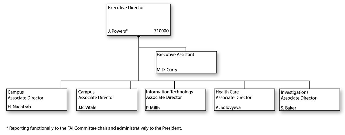 Organizational chart for Audit Services