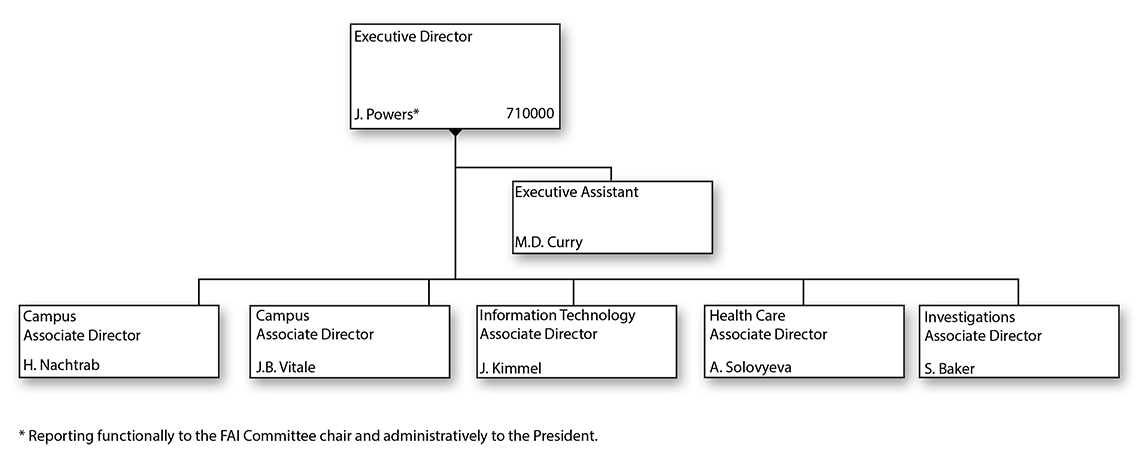 Audit Services Organizational Chart