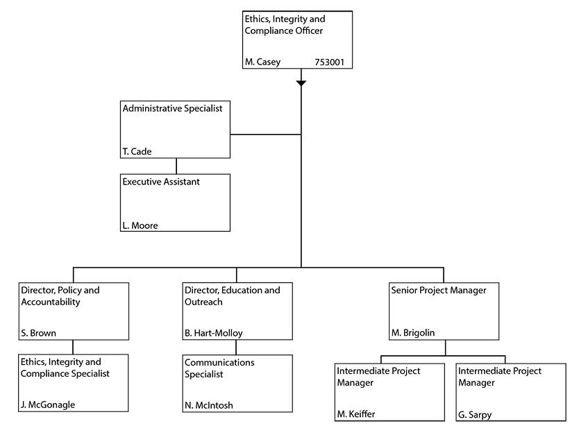 Ethics, Integrity and Compliance Office Organizational Chart
