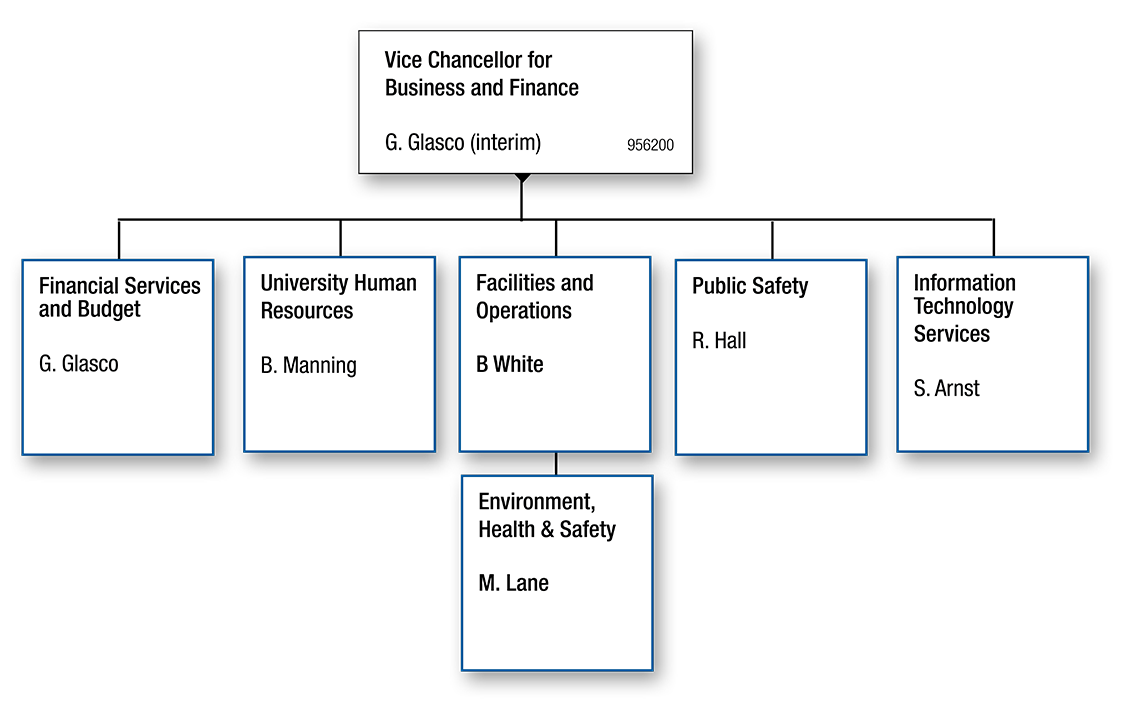 Org chart for Vice Chancellor for Business and Finance