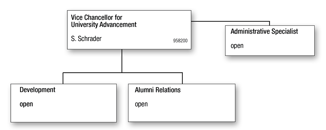 Vice Chancellor for University Advancement Organization Chart